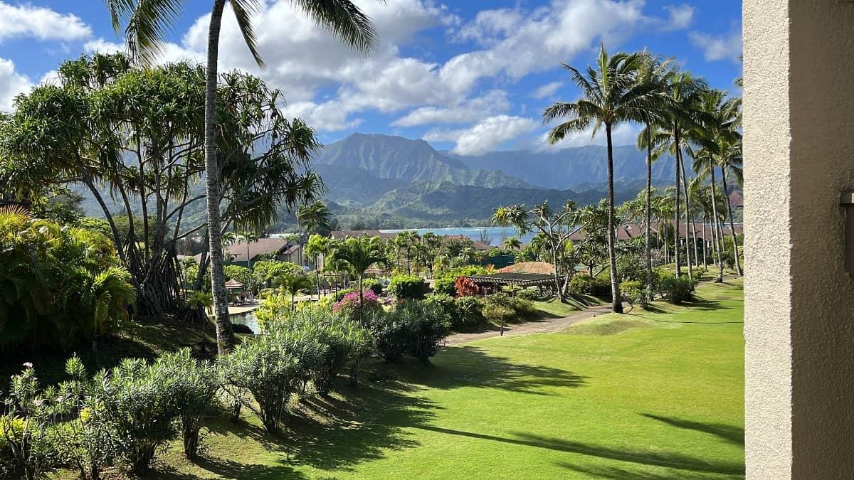 Hanalei Bay Resort Trees