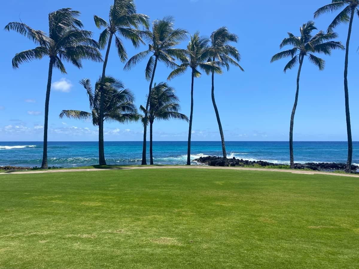 Sheraton Resort background