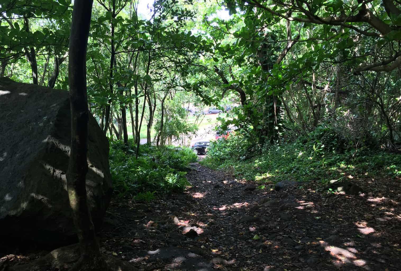 Start of blue room cave trail