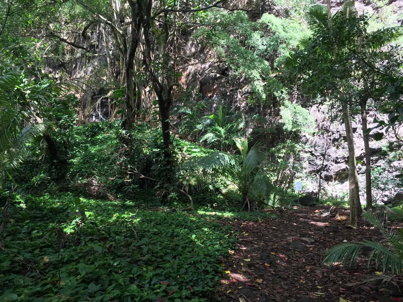 Blue room cave trail