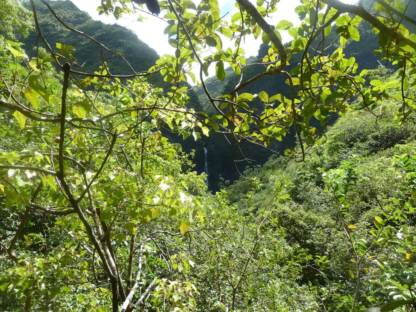 Hanakapiai Falls