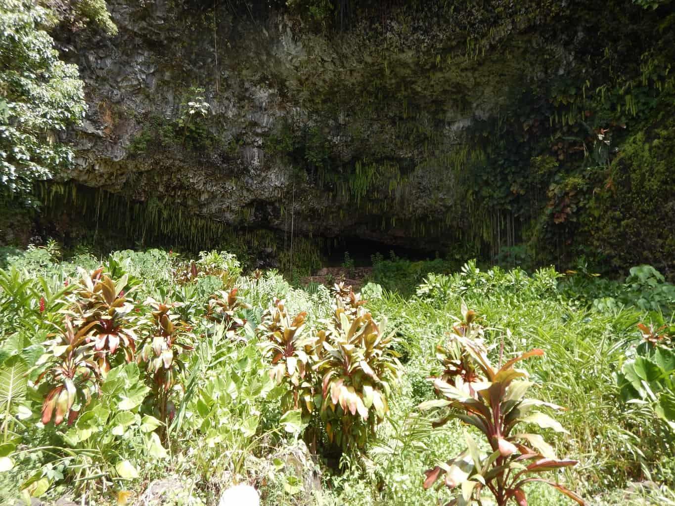 Fern Grotto Kauai