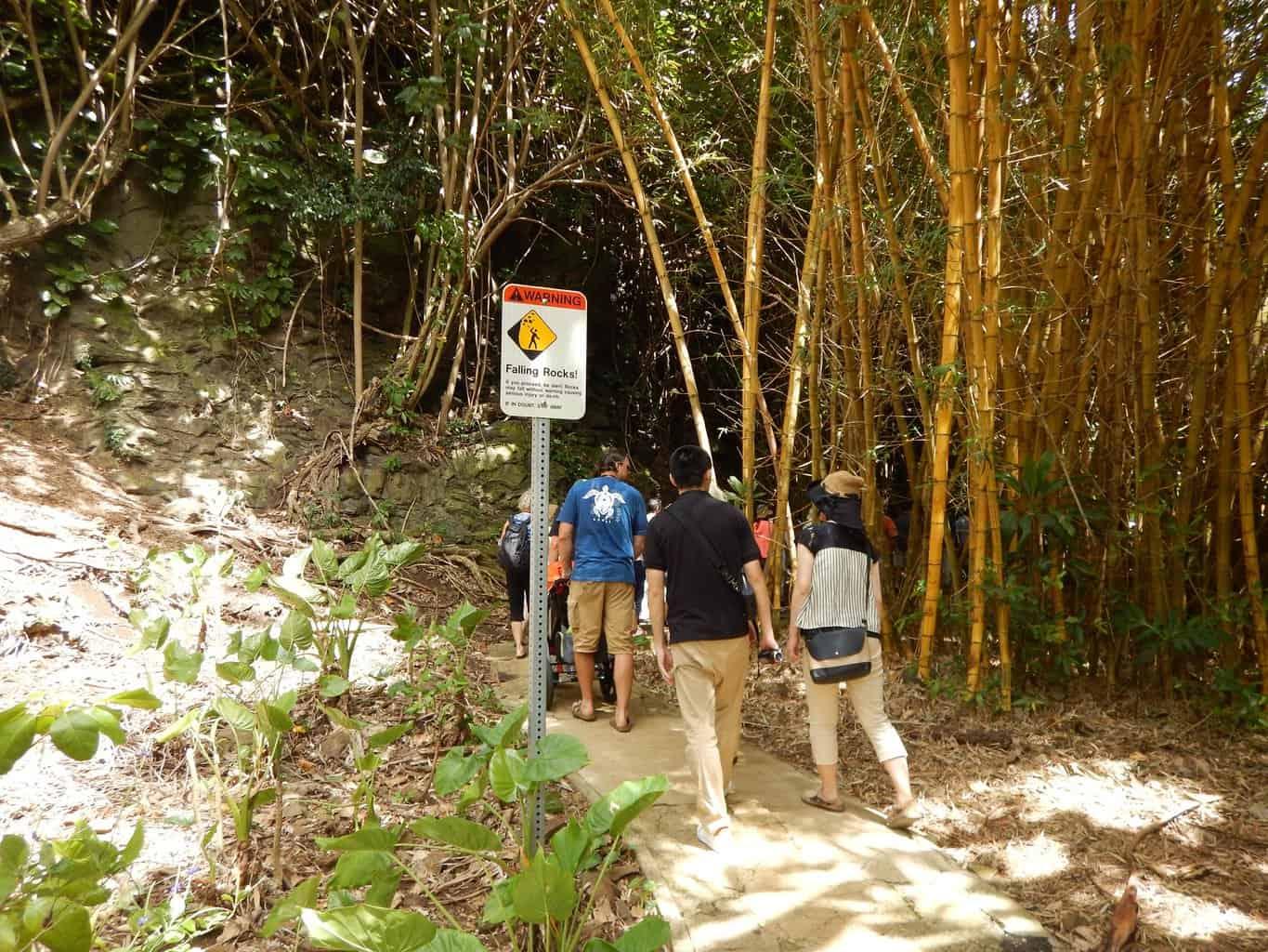 Fern Grotto Tour Review | Kauai Travel Blog