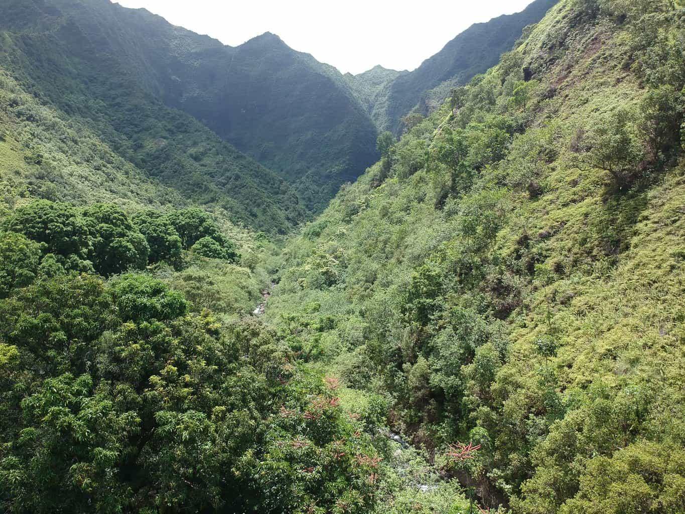 Hanakapiai Falls Trail