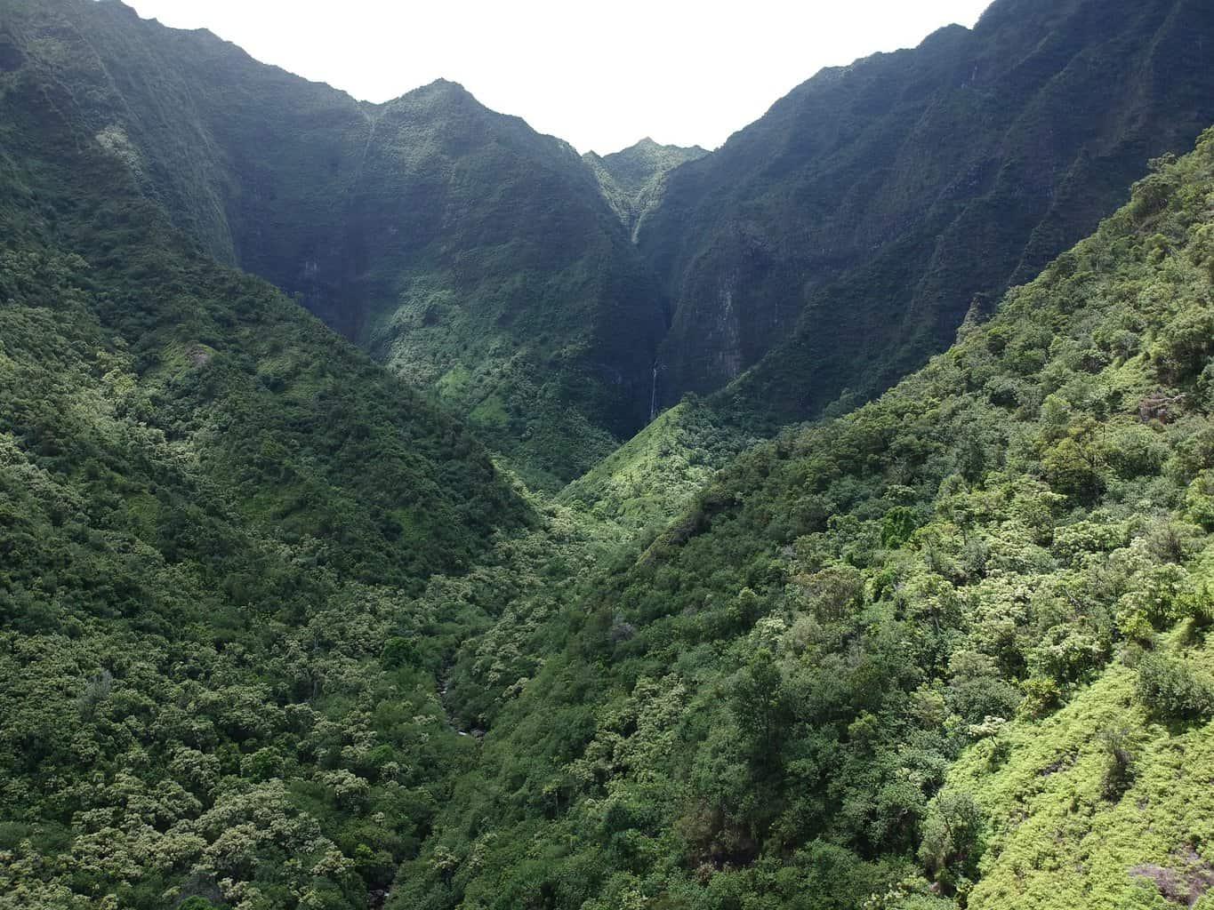 Hanakapiai Falls Trail