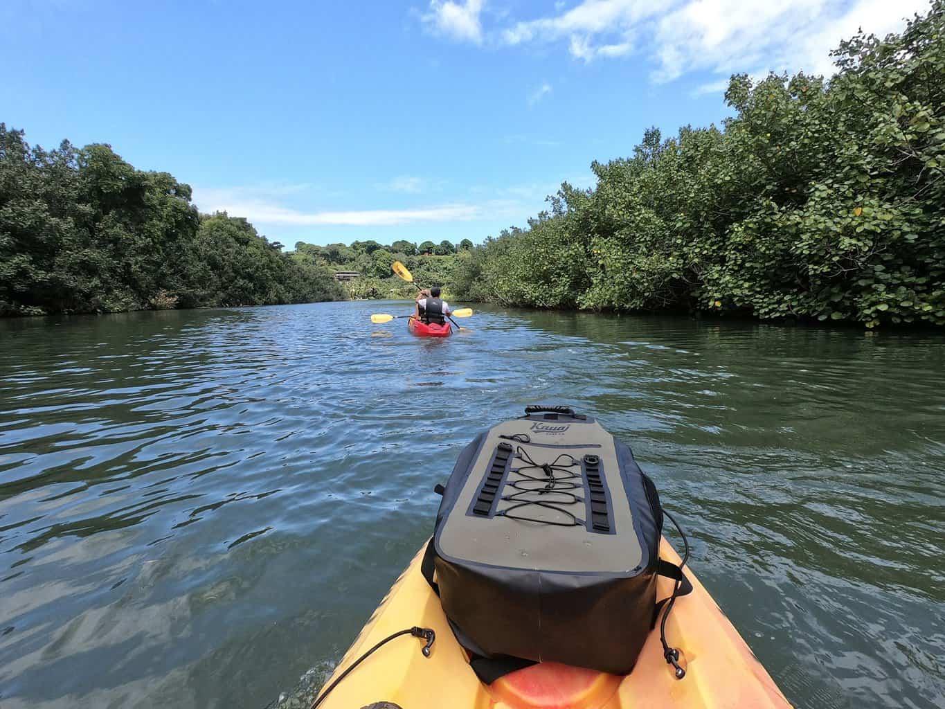 kayak hanalei river