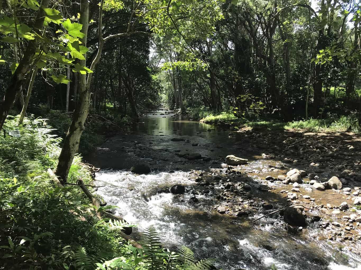 Hoopii Falls Kauai