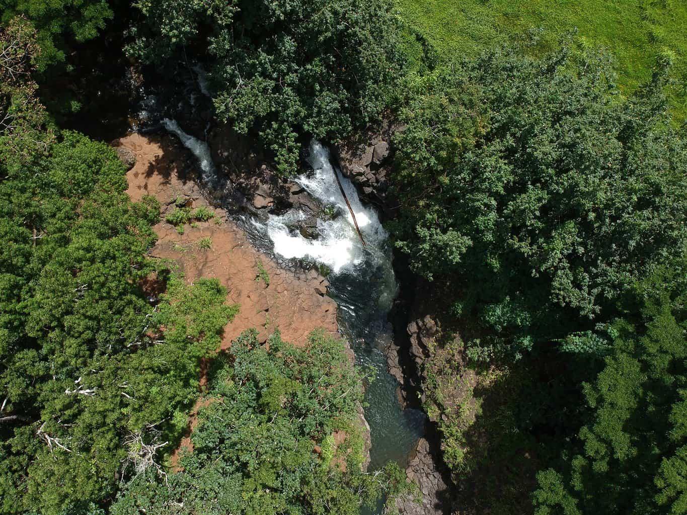 Hoopii Falls Kauai