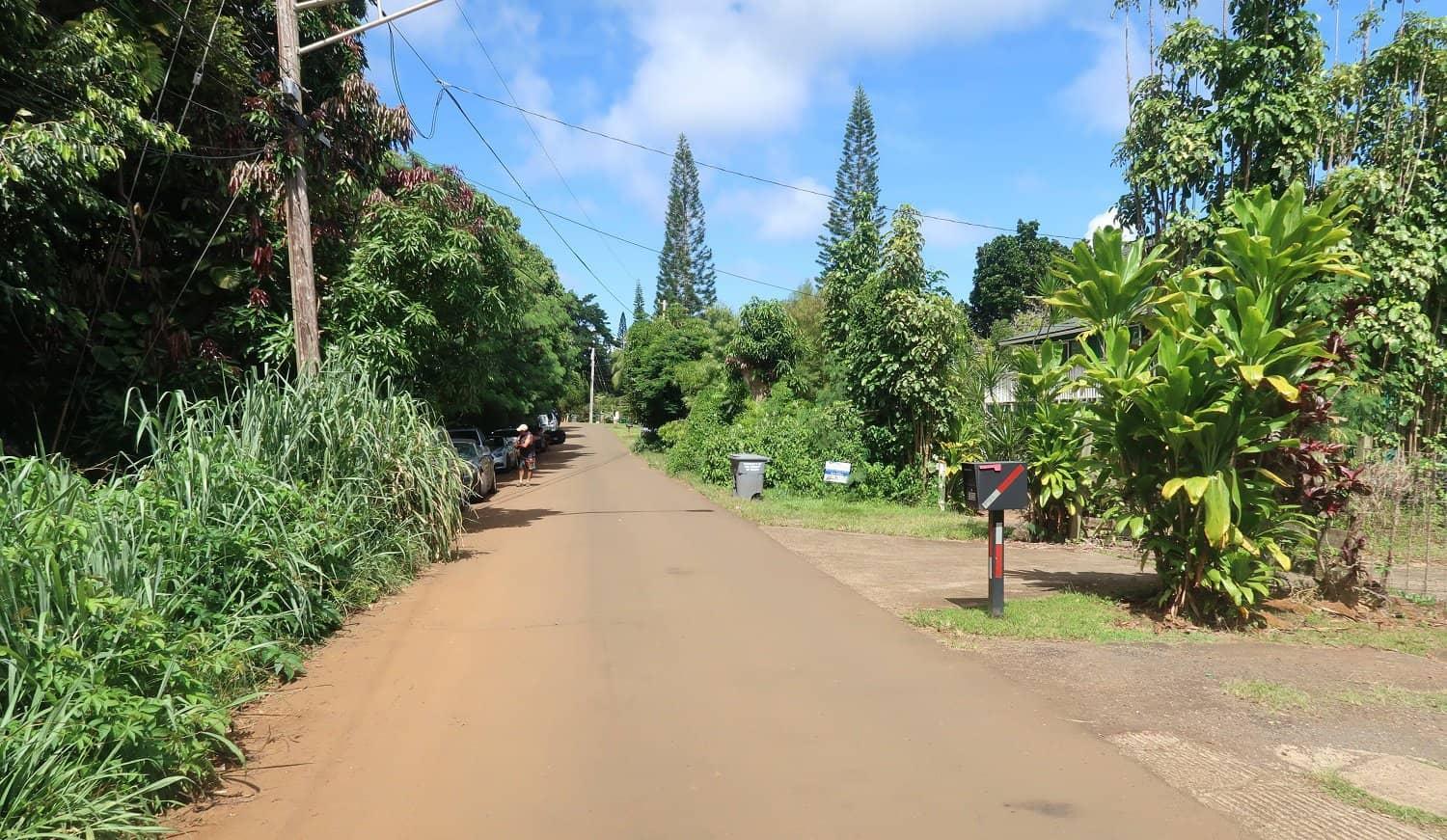 Hoopii Falls Kauai