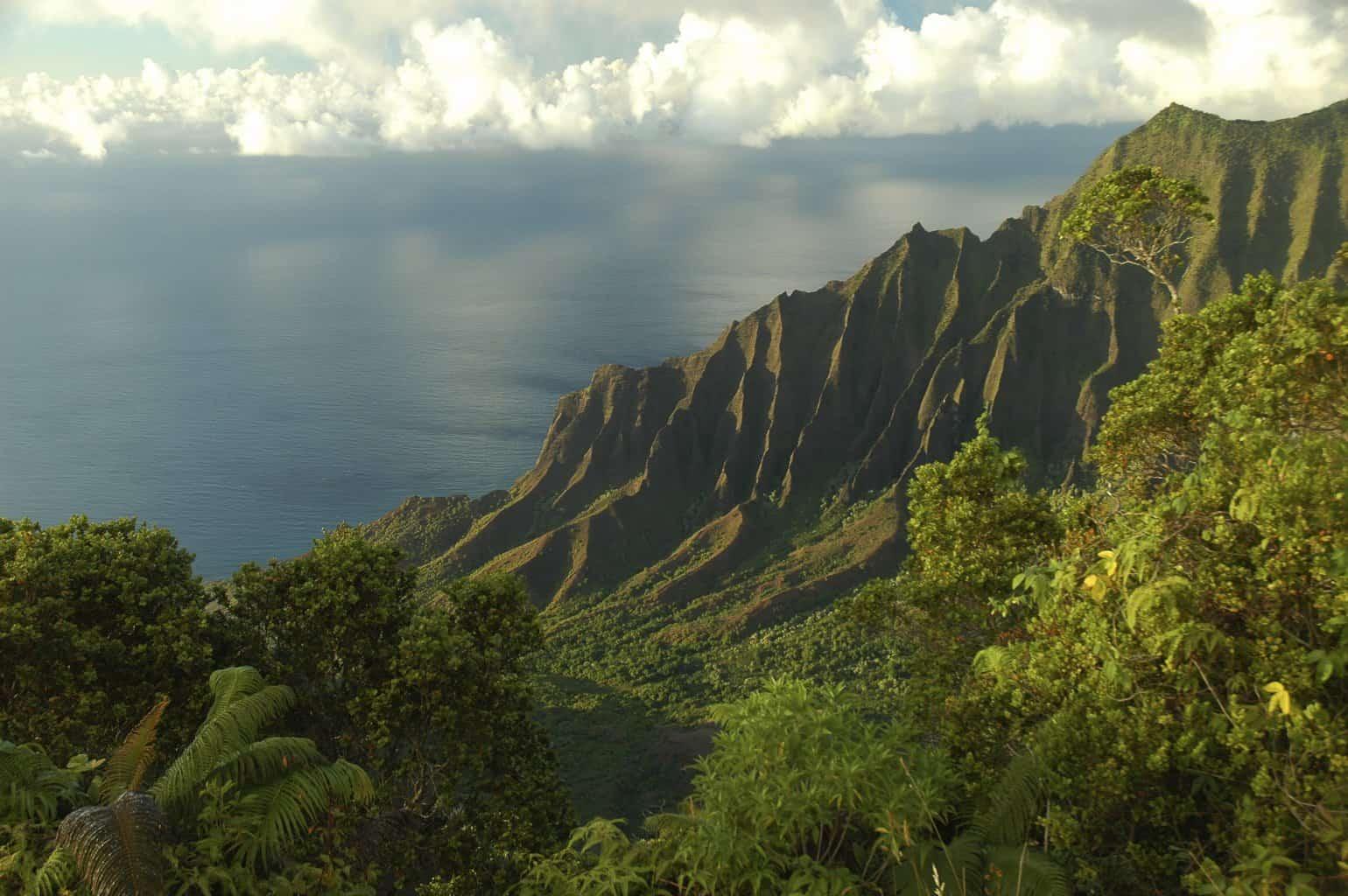 Kalalau Lookout