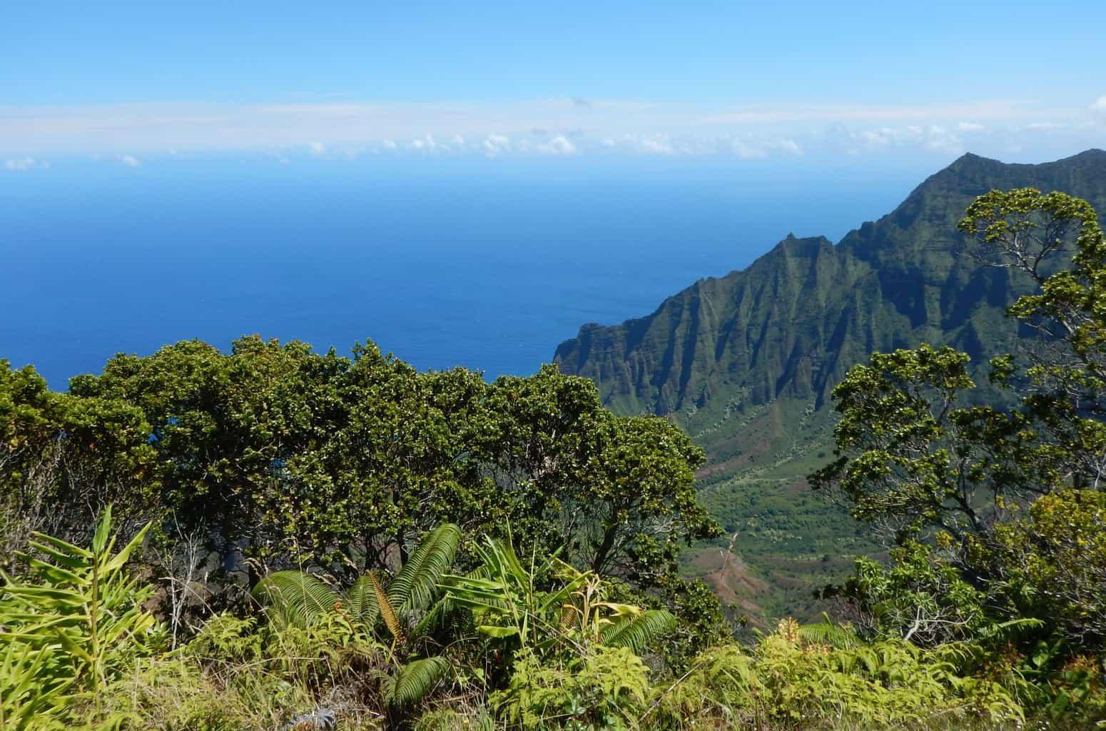 Kalalau Lookout