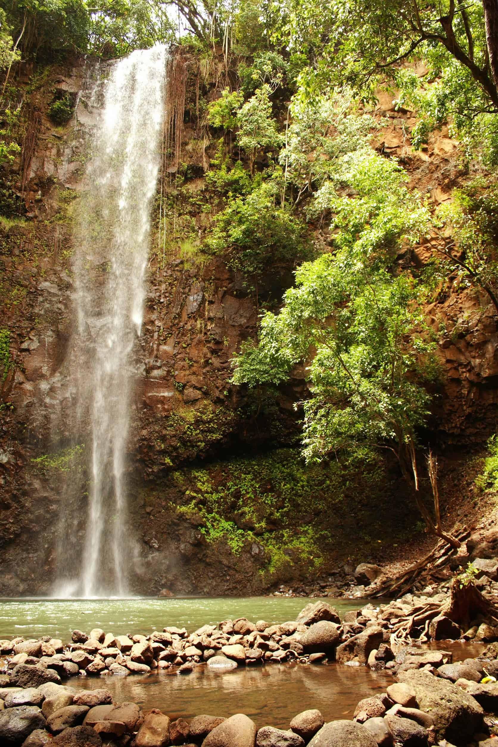 Secret Falls Kauai