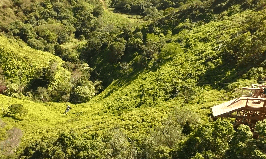 zipline aerial view