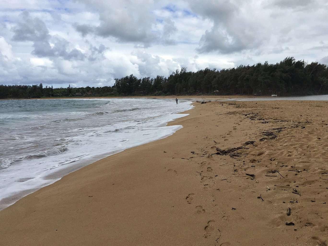 Walking Anahola Beach