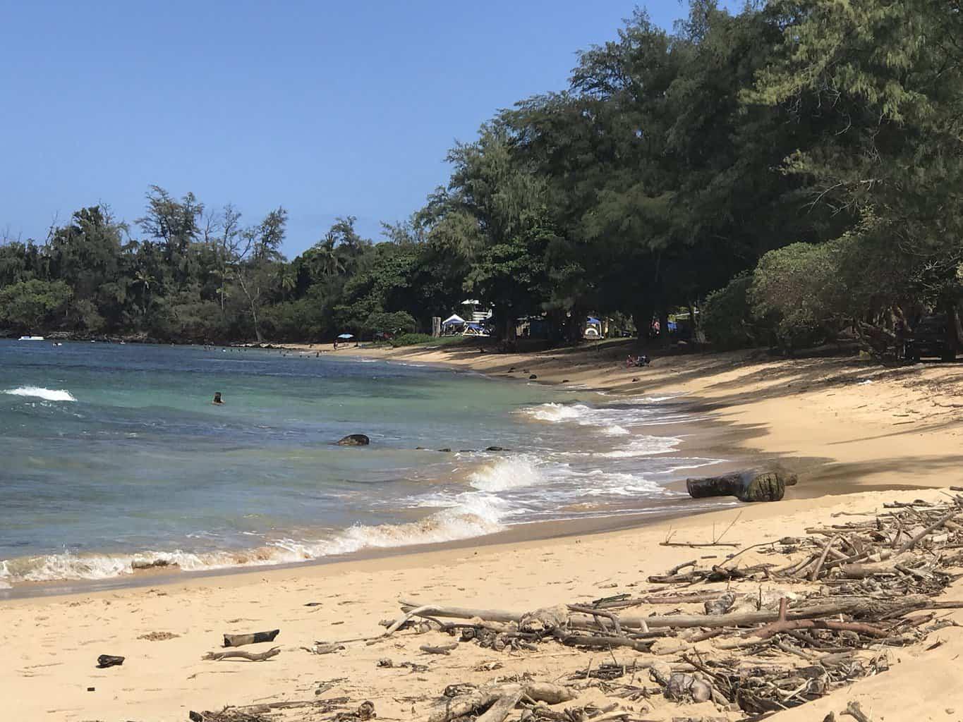 Anahola Beach debris