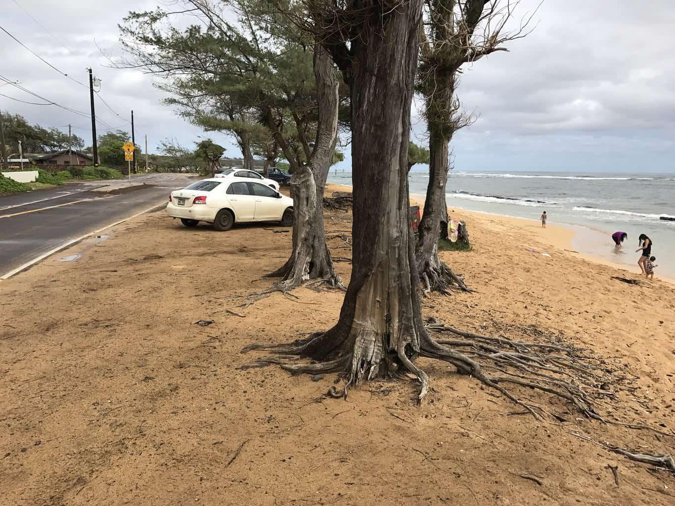 Baby Beach Kapaa