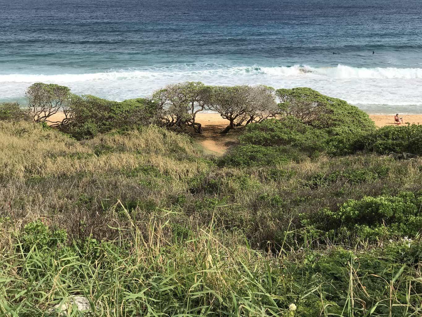 Donkey Beach Kauai