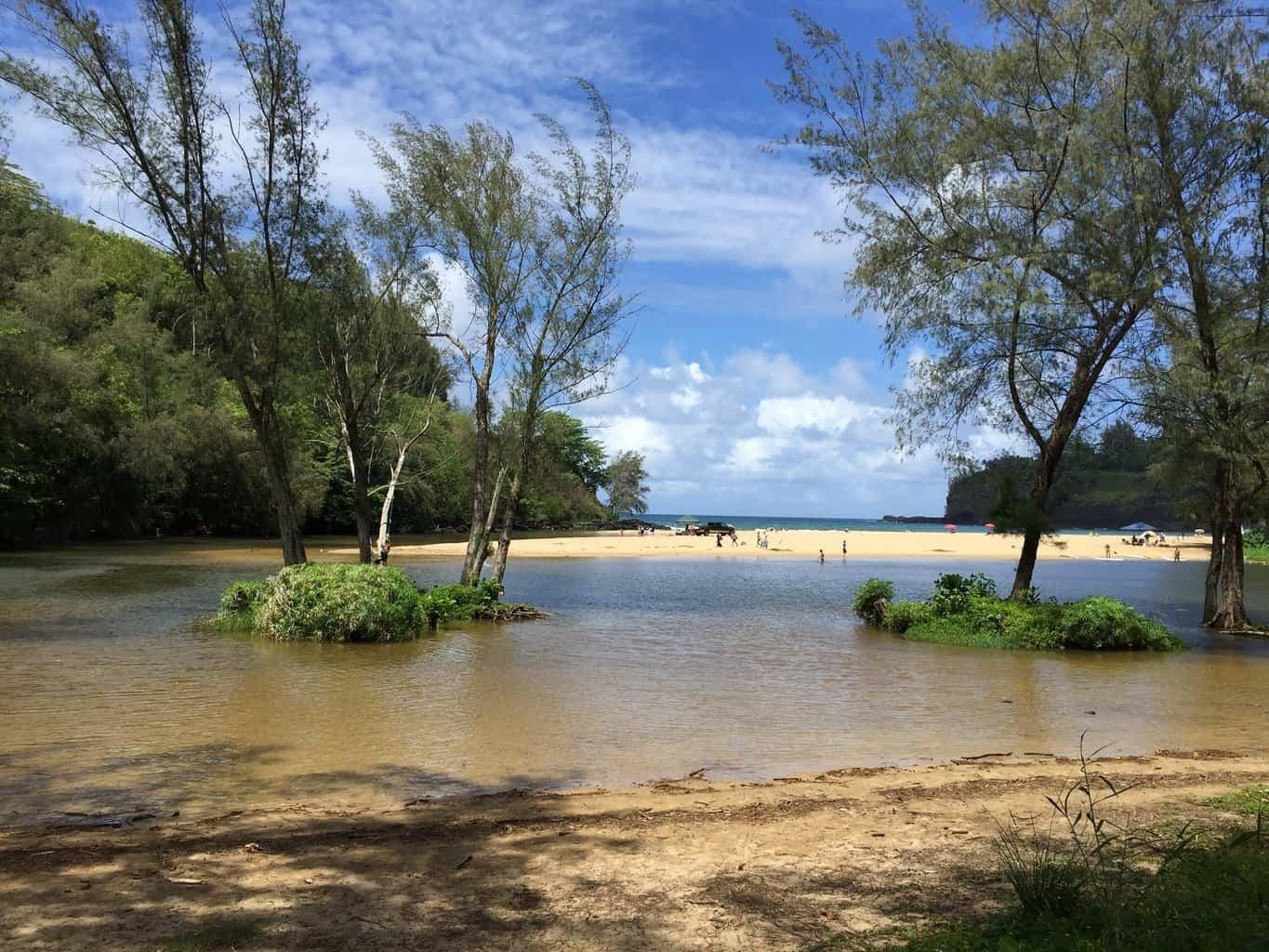 pool behind beach