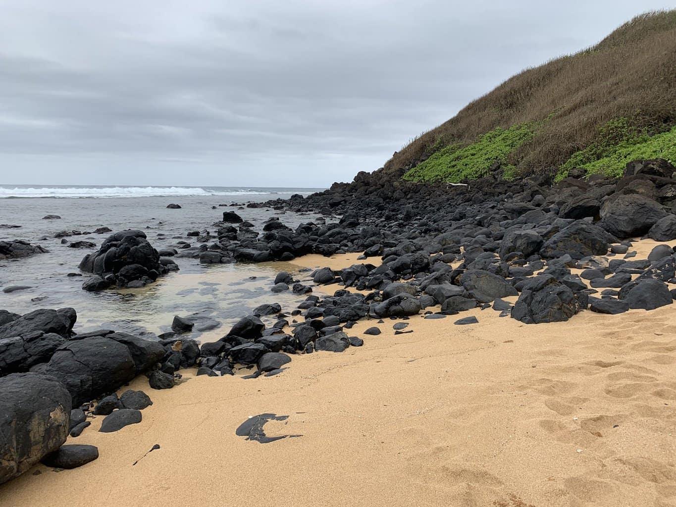 Larsen's Beach