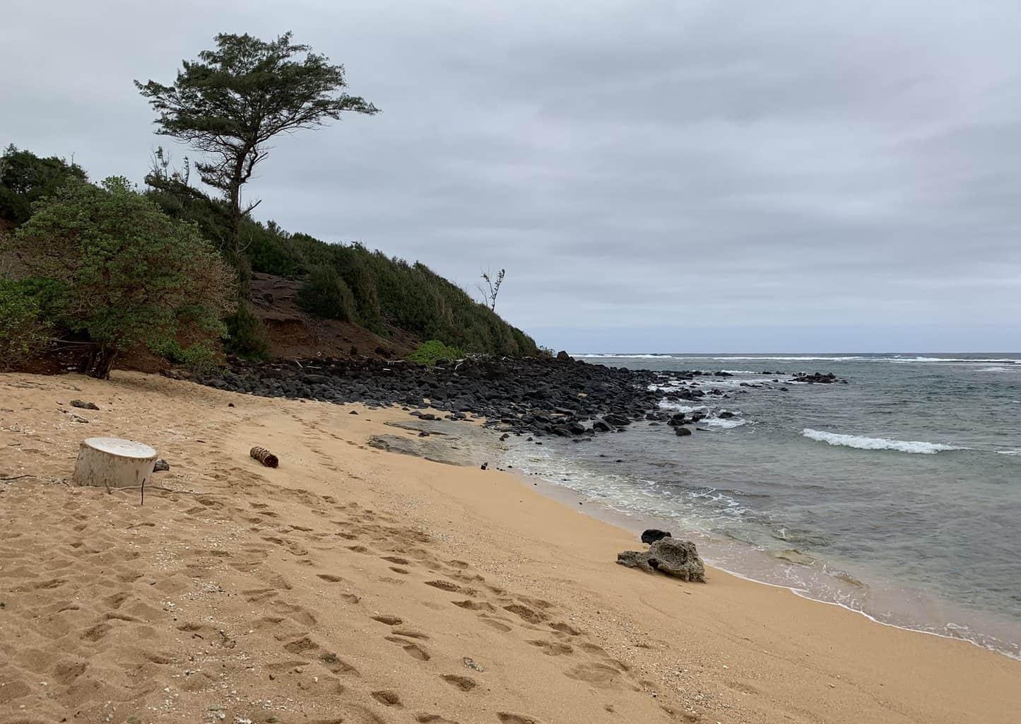 Larsen's Beach