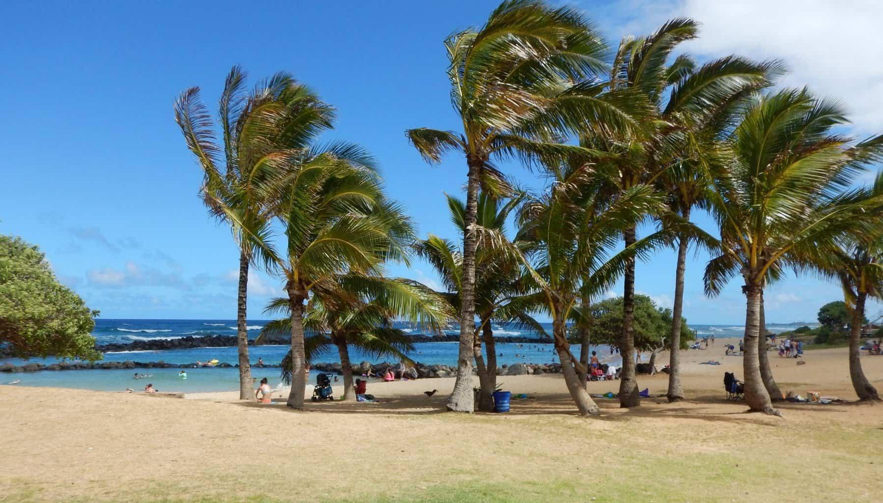 Lydgate Beach