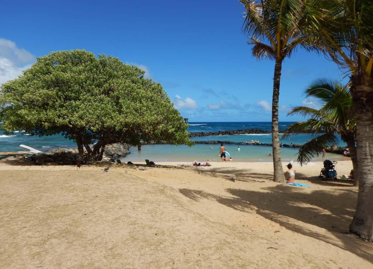 Lydgate Beach