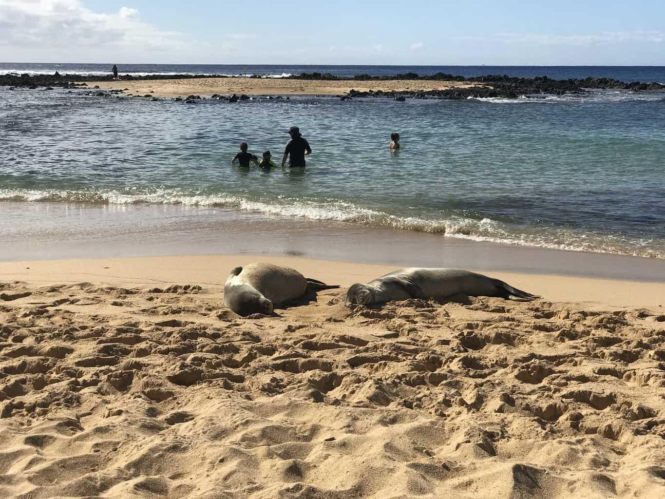 Poipu Beach