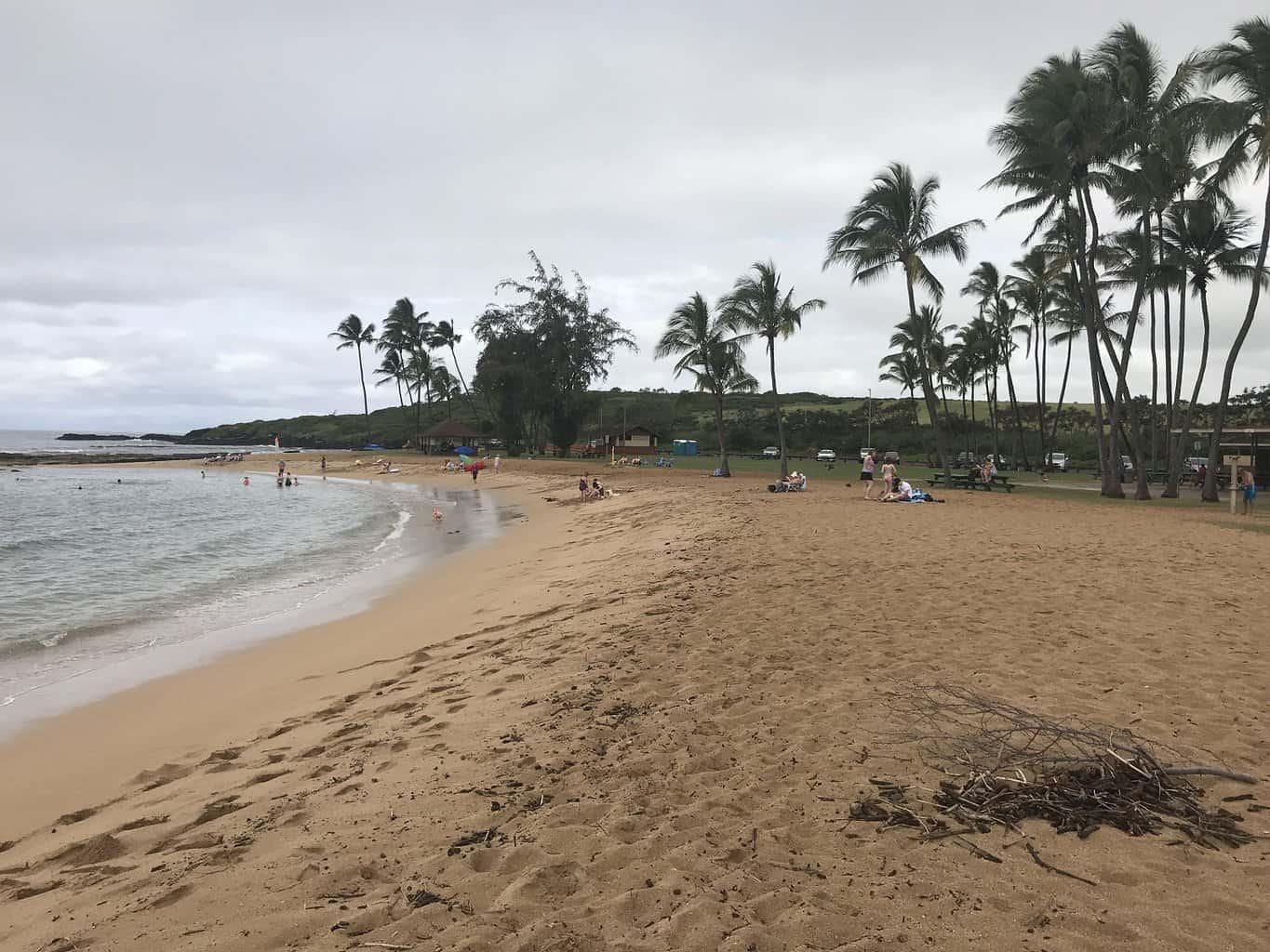 Salt Pond Beach