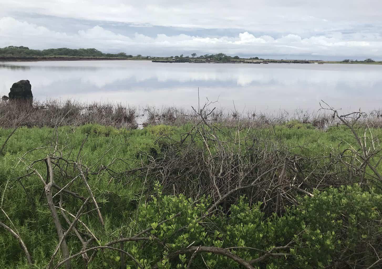 Salt Pond Beach