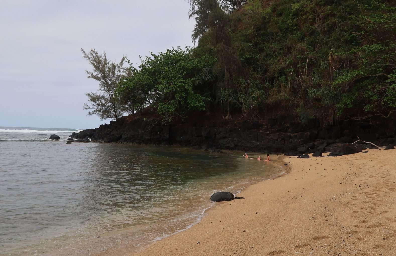 Sealodge Beach Kauai