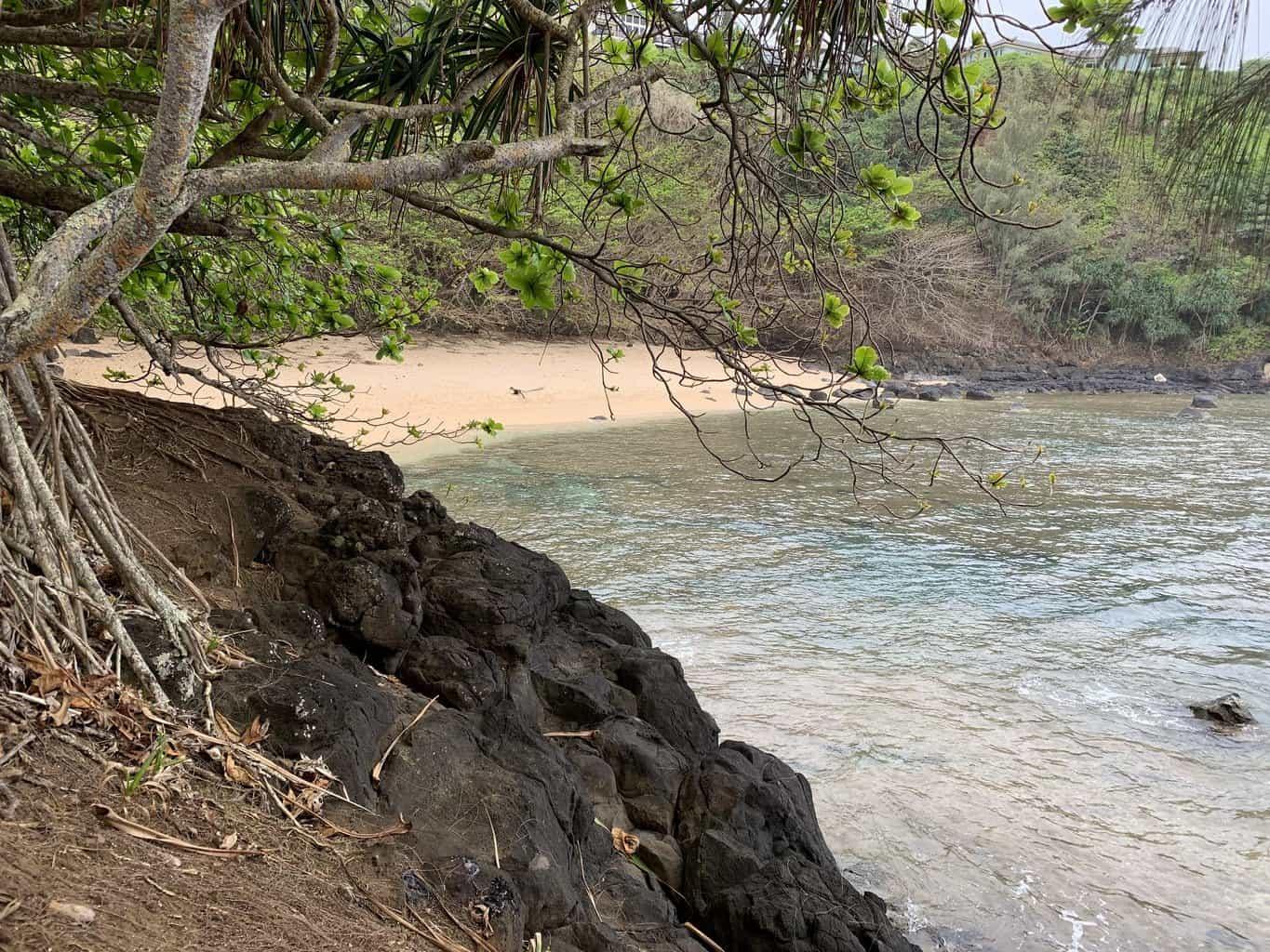 Sealodge Beach Kauai