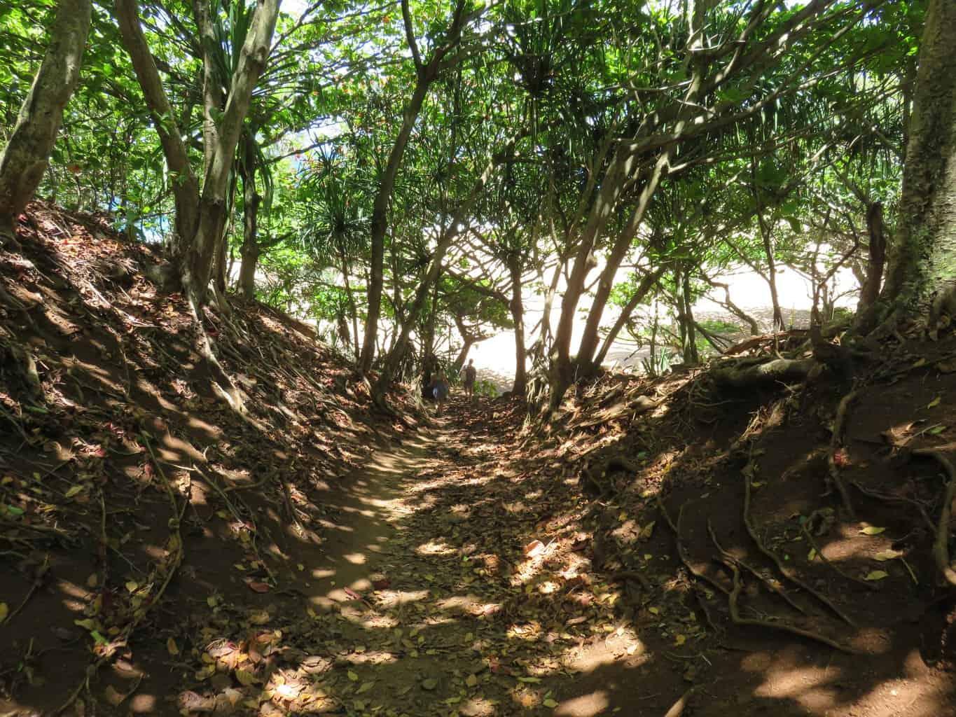 Secret Beach trail