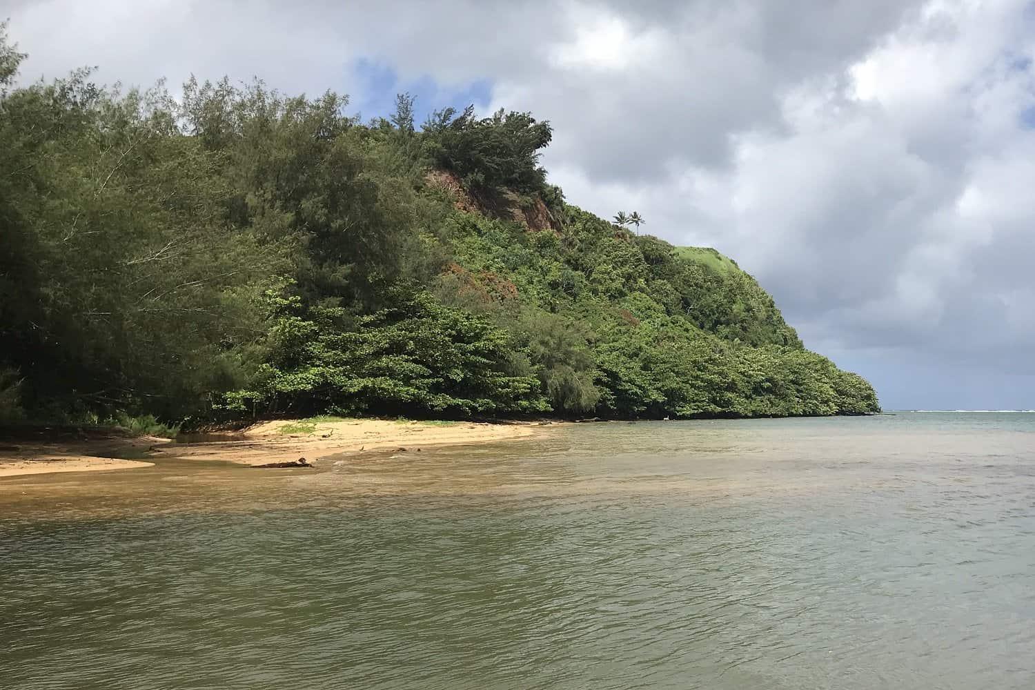 Wyllie's Beach Kauai