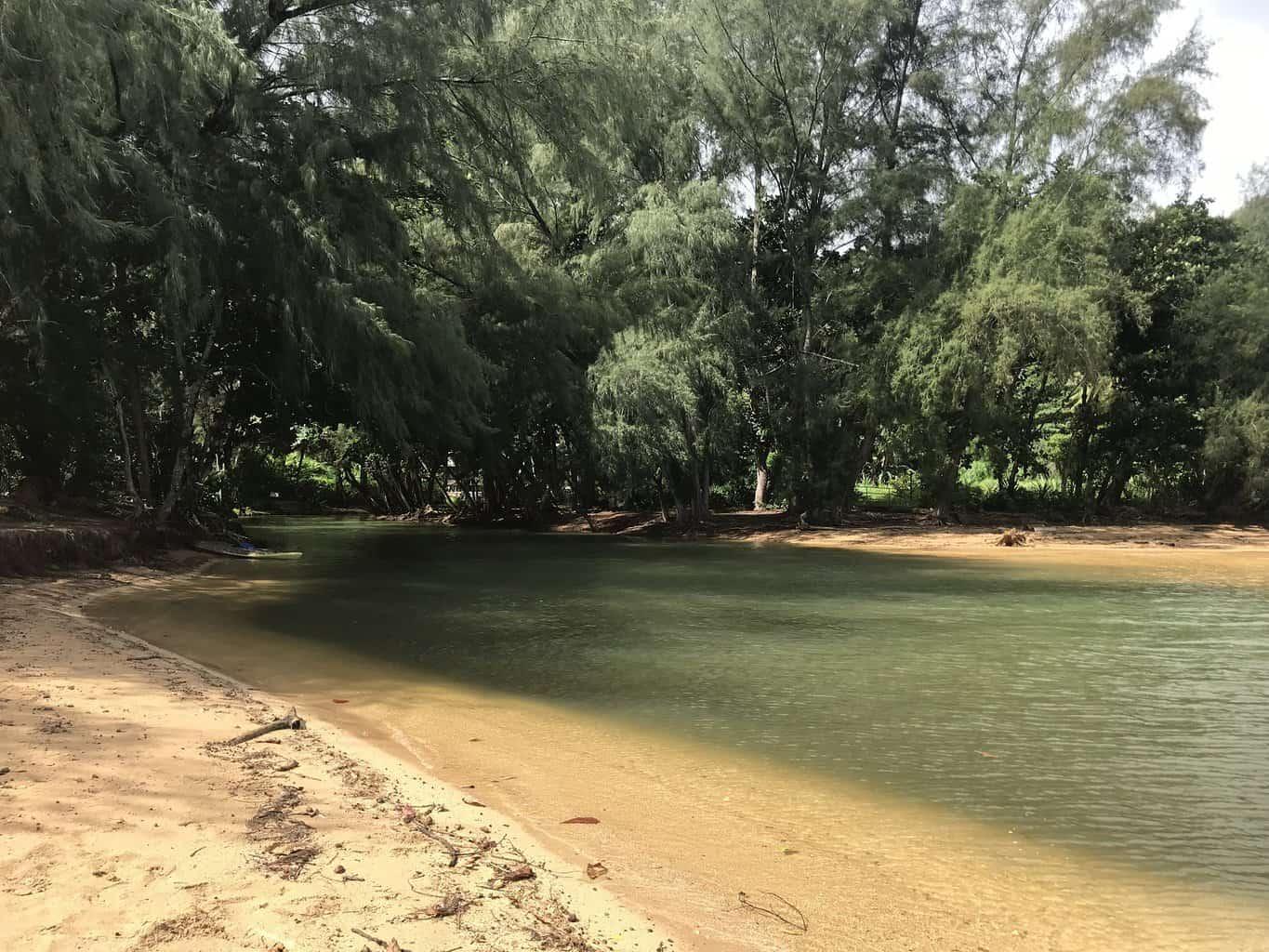 Wyllie's Beach Kauai