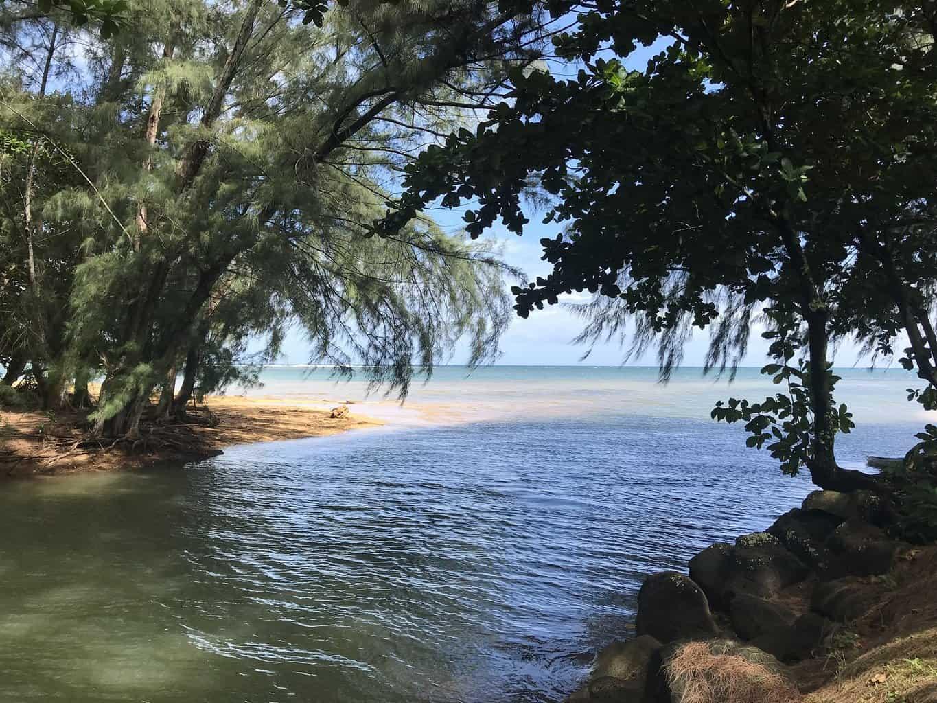 Wyllie's Beach Kauai