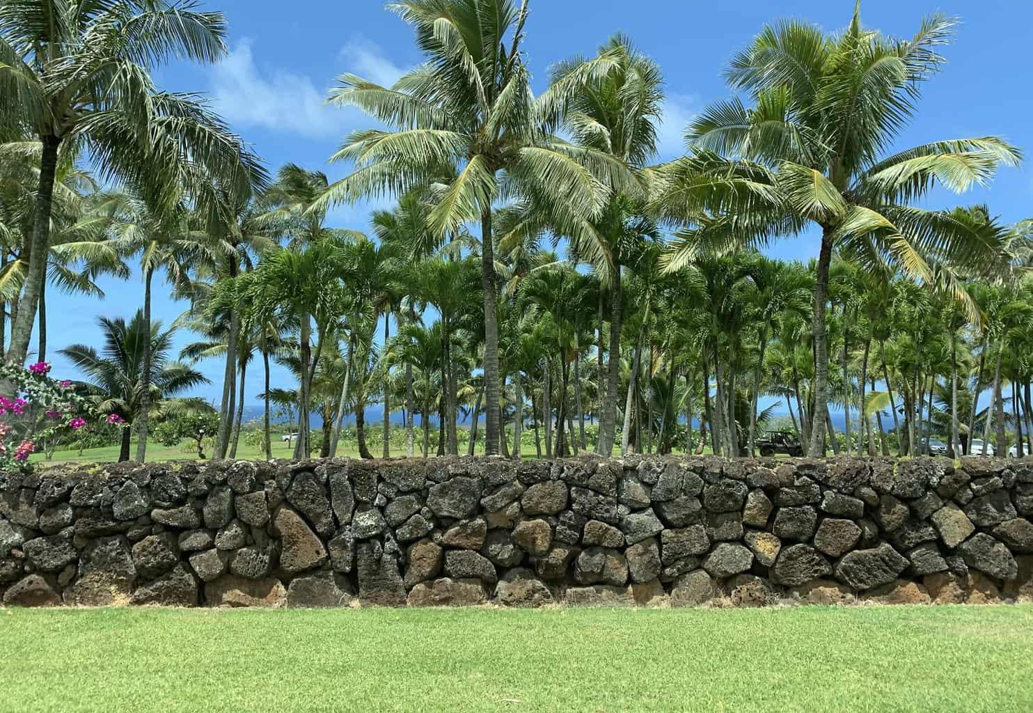 Mark Zuckerberg Kauai