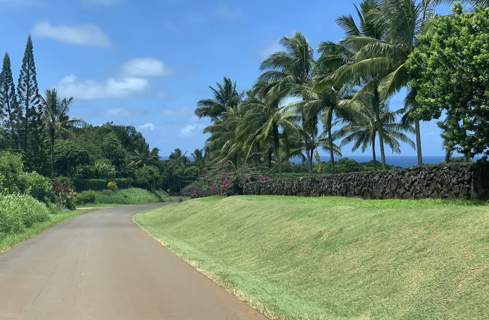 Mark Zuckerberg Kauai