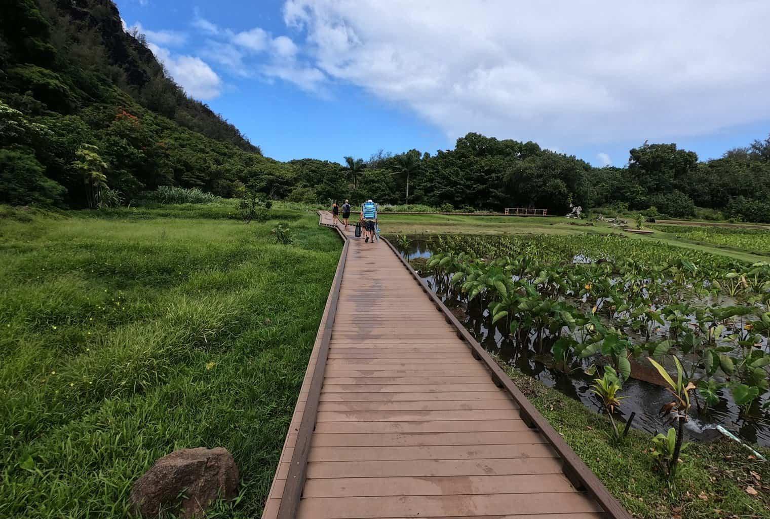 Kauai North Shore