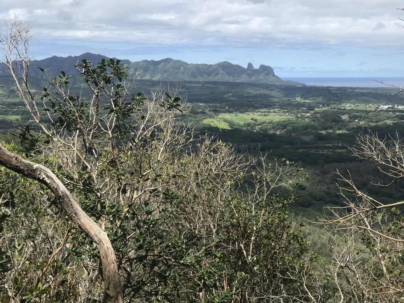 View from West trail