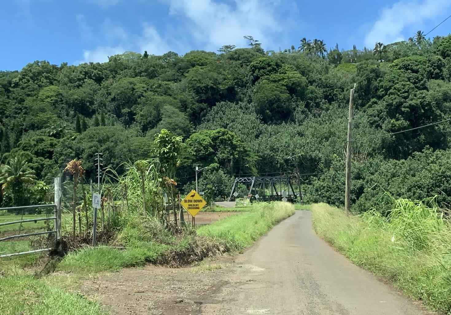 Slow Down Kauai