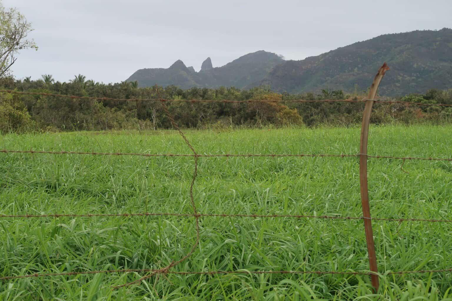 Zuckerberg Kauai Property