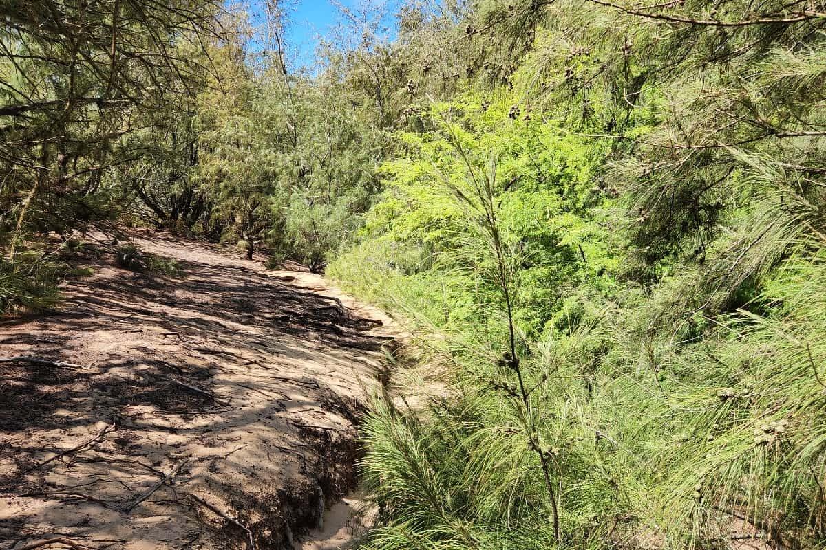 Mahaulepu Heritage Trail middle path