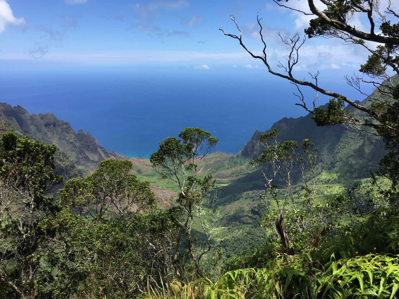 Pihea Trail