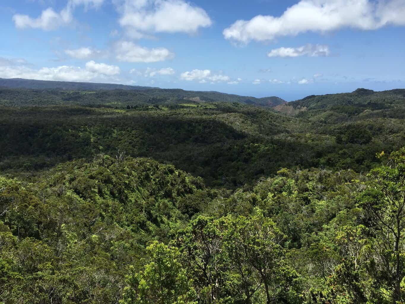 Pihea Trail