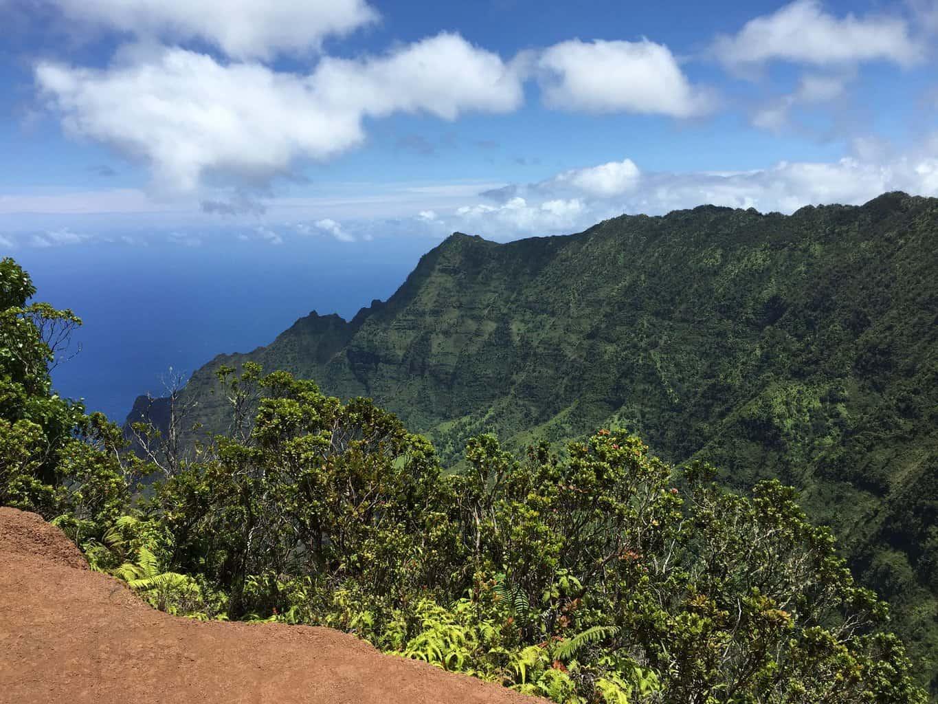 Pihea Trail