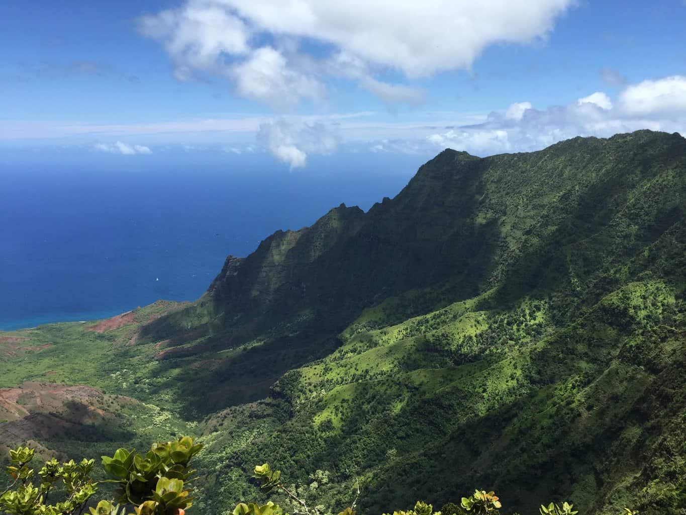 Pihea Trail