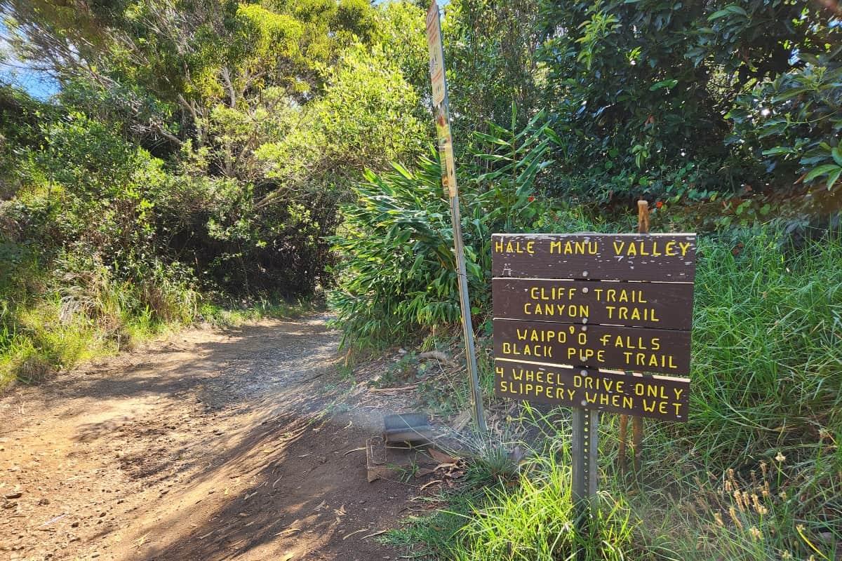 Canyon Trail To Waipo’o Falls