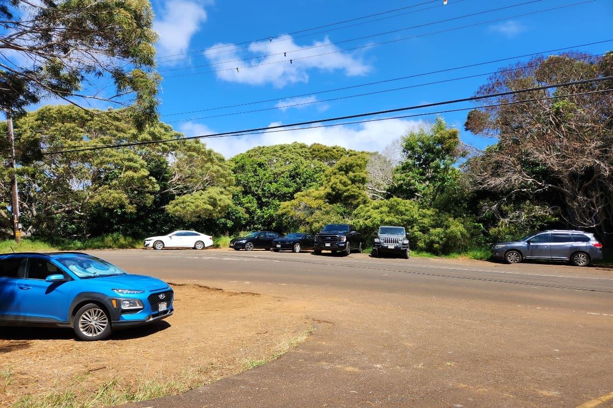 Canyon Trail Waipo'o Falls Parking