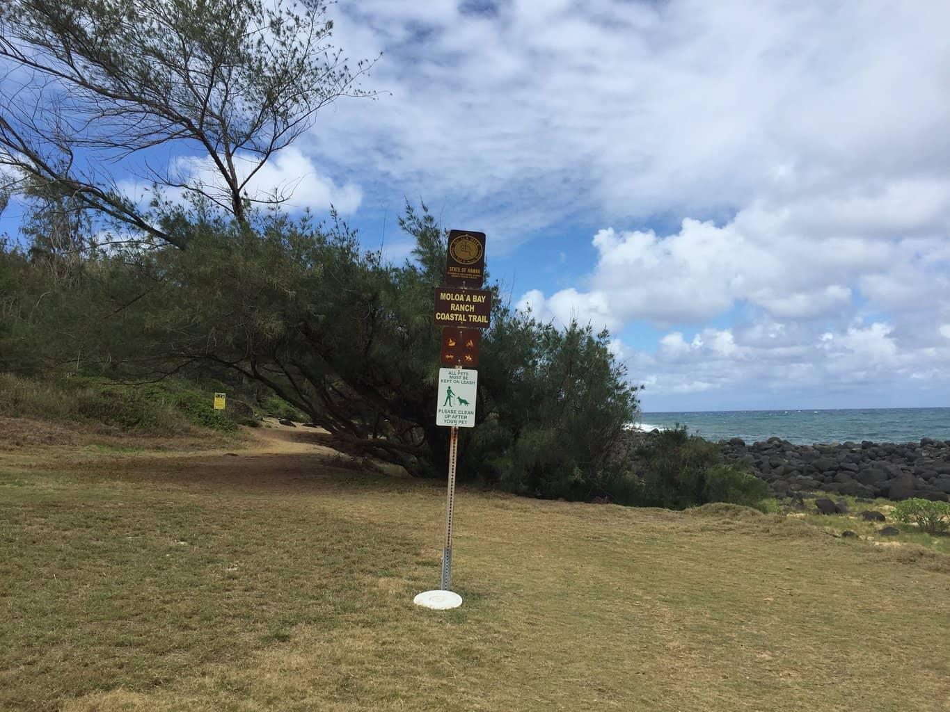 Moloaa Bay Ranch Coastal Trail