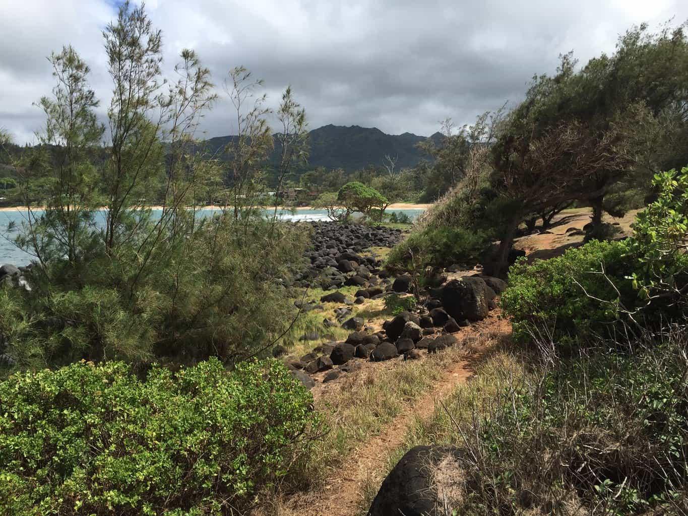 Moloaa Bay Ranch Coastal Trail